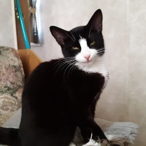 Meet your Posher, Pamela